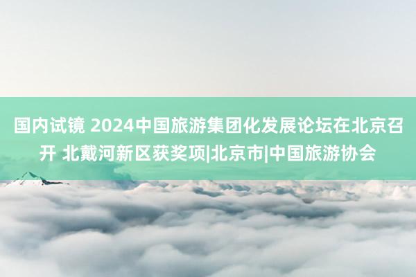 国内试镜 2024中国旅游集团化发展论坛在北京召开 北戴河新区获奖项|北京市|中国旅游协会