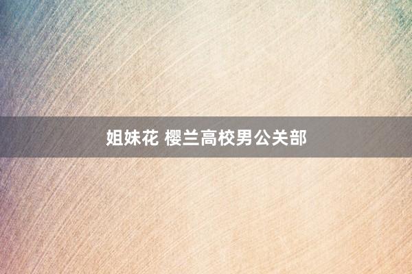 姐妹花 樱兰高校男公关部