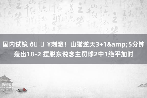 国内试镜 💥刺激！山猫逆天3+1&5分钟轰出18-2 摆脱东说念主罚球2中1绝平加时
