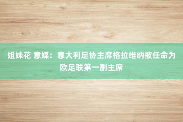 姐妹花 意媒：意大利足协主席格拉维纳被任命为欧足联第一副主席